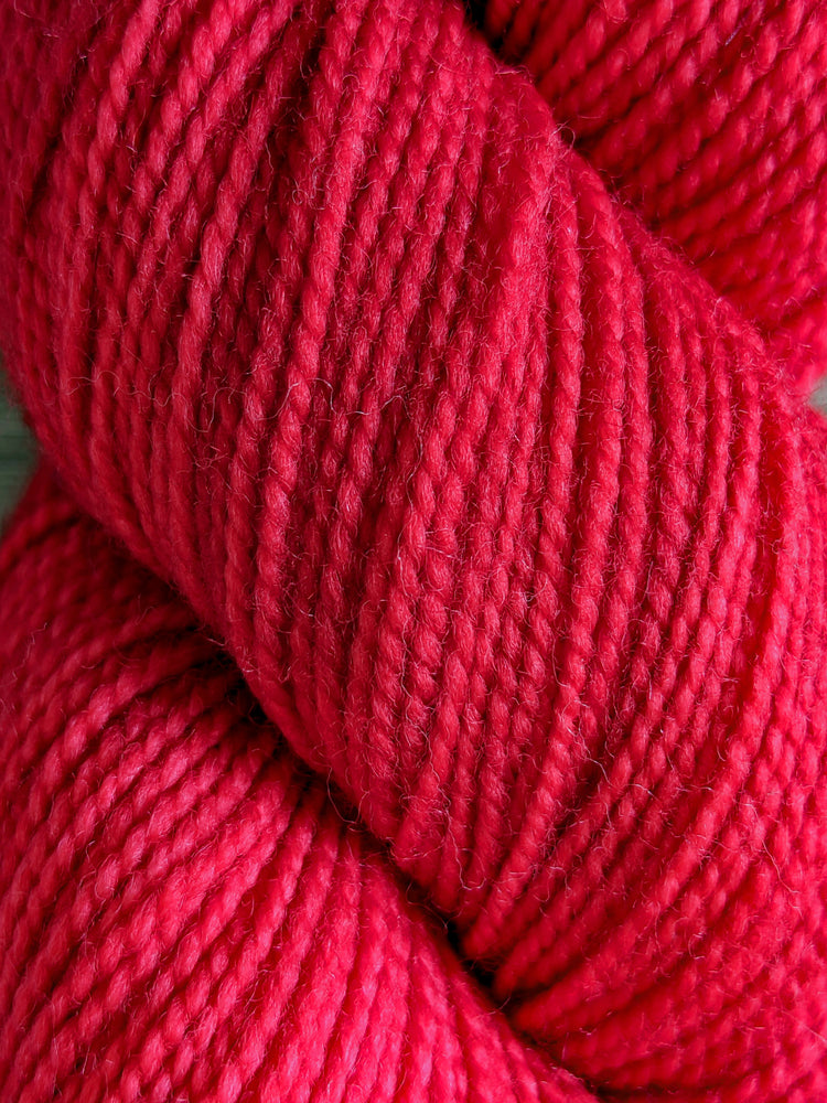 輸入毛糸 Emma's Yarn/Practically Perfect Sock(エマズヤーン/プラクティカリーパーフェクトソック) :Stiletto