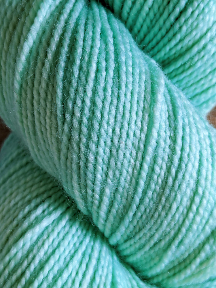 輸入毛糸 Emma's Yarn/Practically Perfect Sock(エマズヤーン/プラクティカリーパーフェクトソック) :Mint To Be