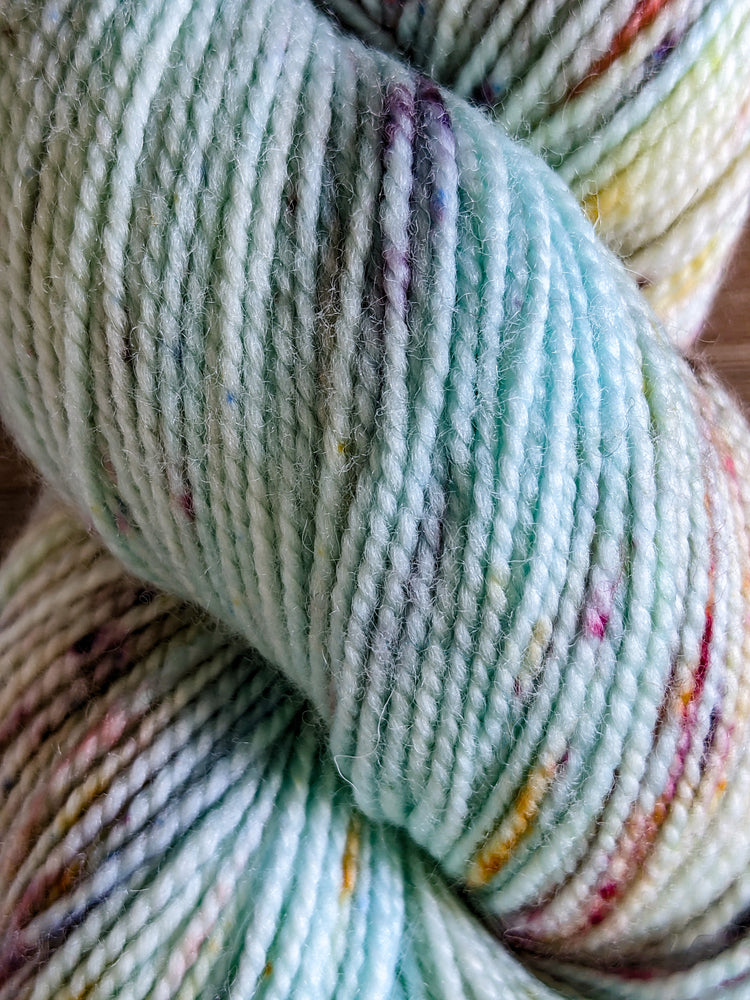 輸入毛糸 Emma's Yarn/Practically Perfect Sock(エマズヤーン/プラクティカリーパーフェクトソック) :Bare Necessities